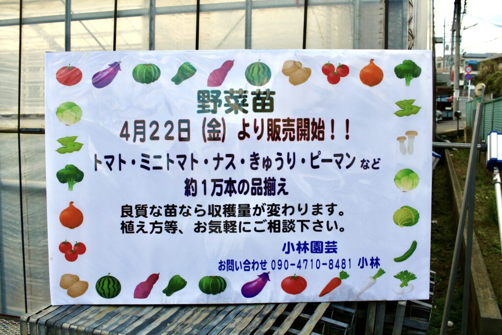 2022年4月22日より野菜苗販売開始！